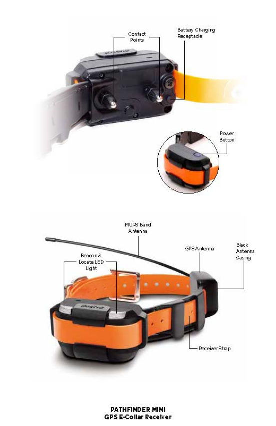 PF MINI OVERVIEW (2).png